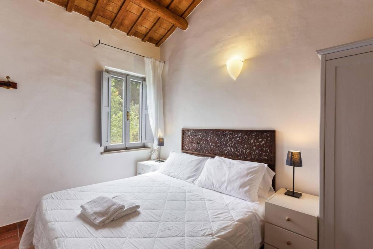 Grande Villa Storica Per Vacanze Con Giardino Privato E Piscina Ostra Exteriér fotografie