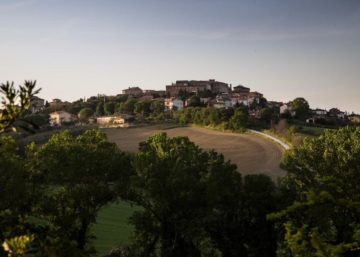 Grande Villa Storica Per Vacanze Con Giardino Privato E Piscina Ostra Exteriér fotografie