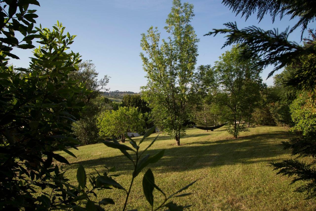 Grande Villa Storica Per Vacanze Con Giardino Privato E Piscina Ostra Exteriér fotografie